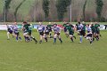 Monaghan 2nd XV Vs CIYMS March 14th 2015 (2)